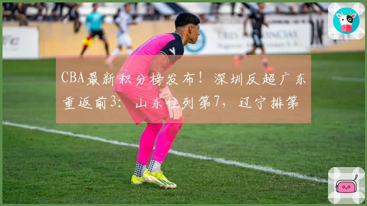 CBA最新积分榜发布！深圳反超广东重返前3：山东位列第7，辽宁排第9